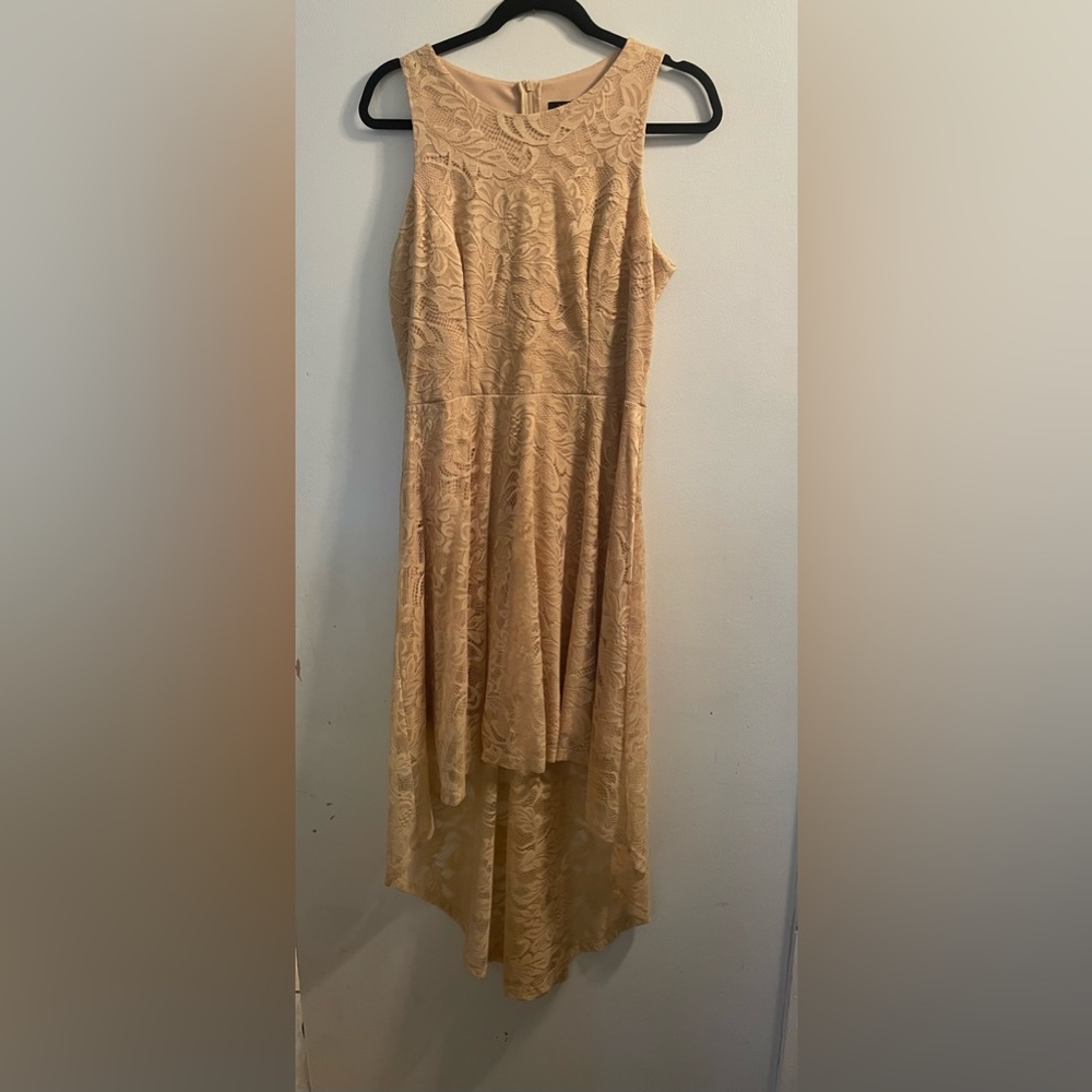 Pretty lace summer dress. High low lace back